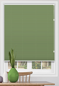 Lexington Spring Blockout Pleated Blind