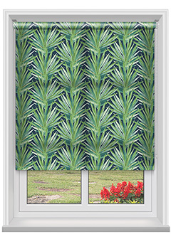 Tropic Rumba 