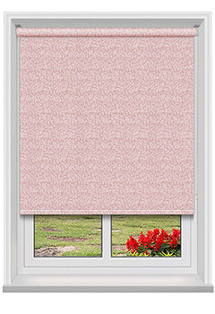 Isla Sorbet Roller Blind