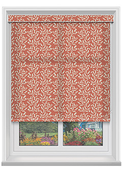 Molly Coral with Cassette Roller Blind