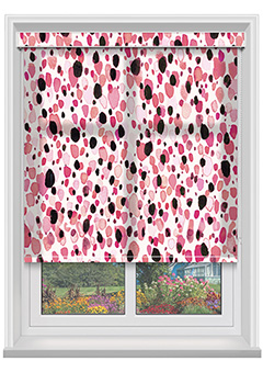 Vinnie Candy with Cassette Roller Blind