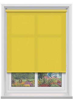 Polaris Chartreuse Dimout 