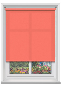 Polaris Coral Dimout 