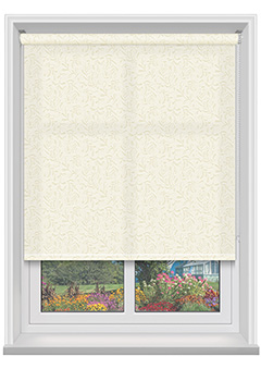 Livia asc Cotton 