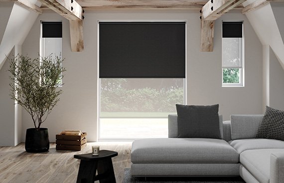 Double Roller Blinds for Privacy and Outside View