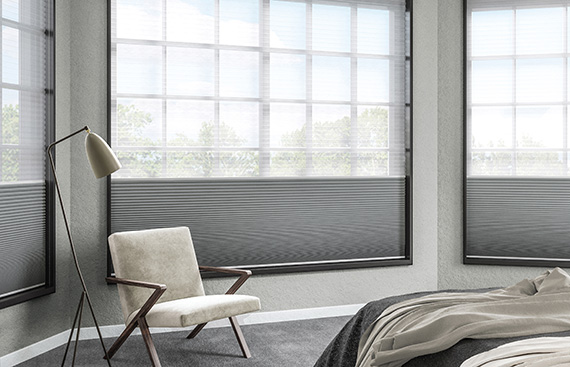 Day & Night Pleated Blinds