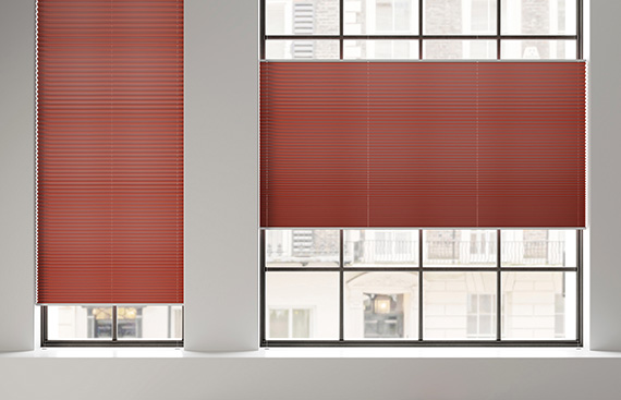 Top Down Bottom Up Pleated Blinds