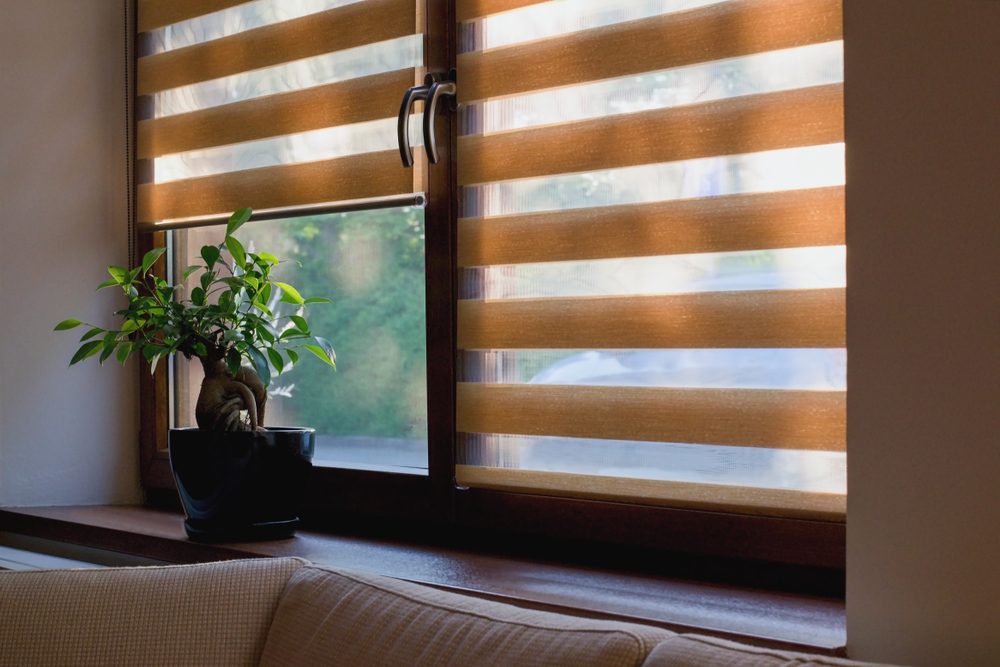 Why are Day & Night Blinds striped? Why are Day & Night Blinds striped?