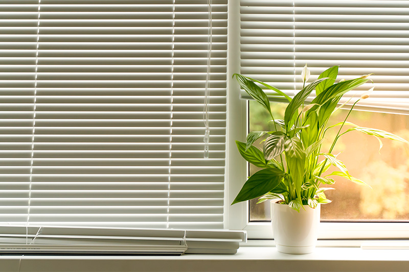 Why Are My Venetian Blinds Not Lowering? Why Are My Venetian Blinds Not Lowering?